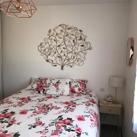 Apartamento Neuf Et équipé De 45 M2 Folelli